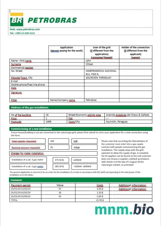 Paraguay Petrobras Paraguay Operations and Logistics Gas company w formacie Word